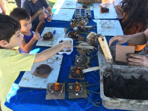Kids Making All-Natural Seed Skulls