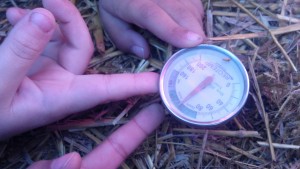 compost thermometer used to monitor "hot pile"